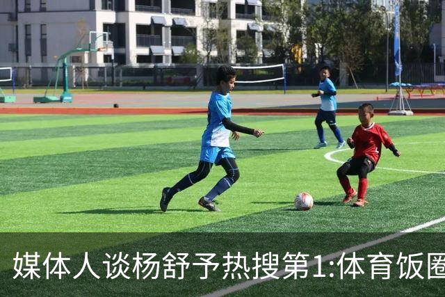 媒体人谈杨舒予热搜第1:体育饭圈化成行业现象